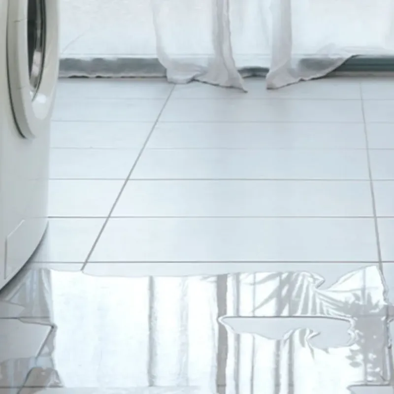 Appliance Leak Cleanup in Merrill, WI