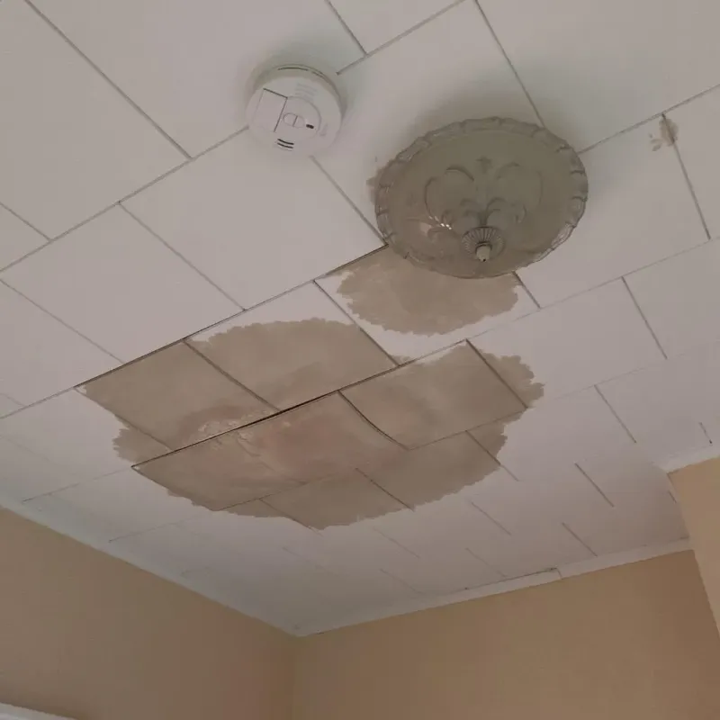 Ceiling Water Damage Repair in Merrill, WI