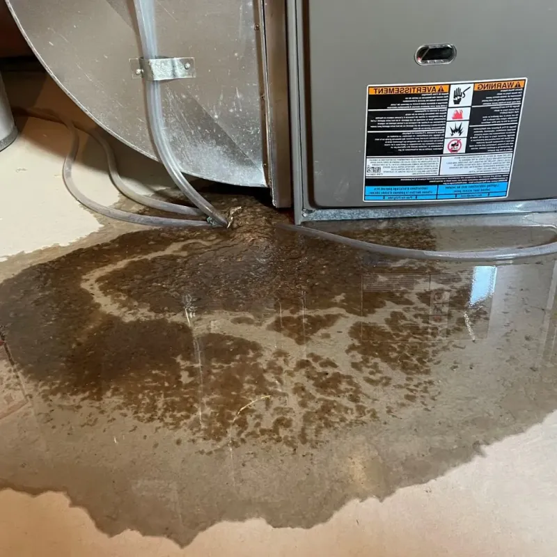 Pipe Burst and Leak Restoration in Merrill, WI