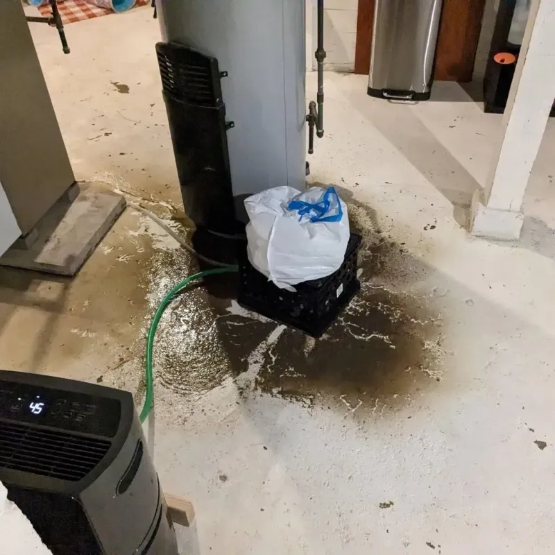 Sewage Backup Cleanup Service in Merrill, WI